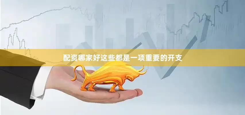 配资哪家好这些都是一项重要的开支