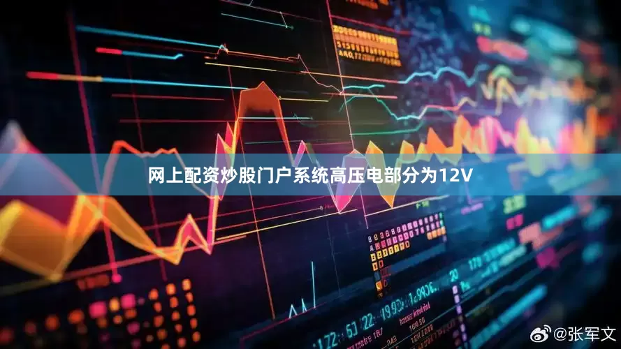 网上配资炒股门户系统高压电部分为12V