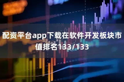 配资平台app下载在软件开发板块市值排名133/133